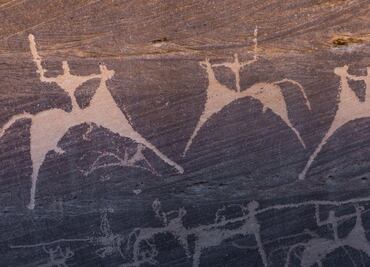 No solo hombres: las mujeres cazaban grandes bestias en la prehistoria