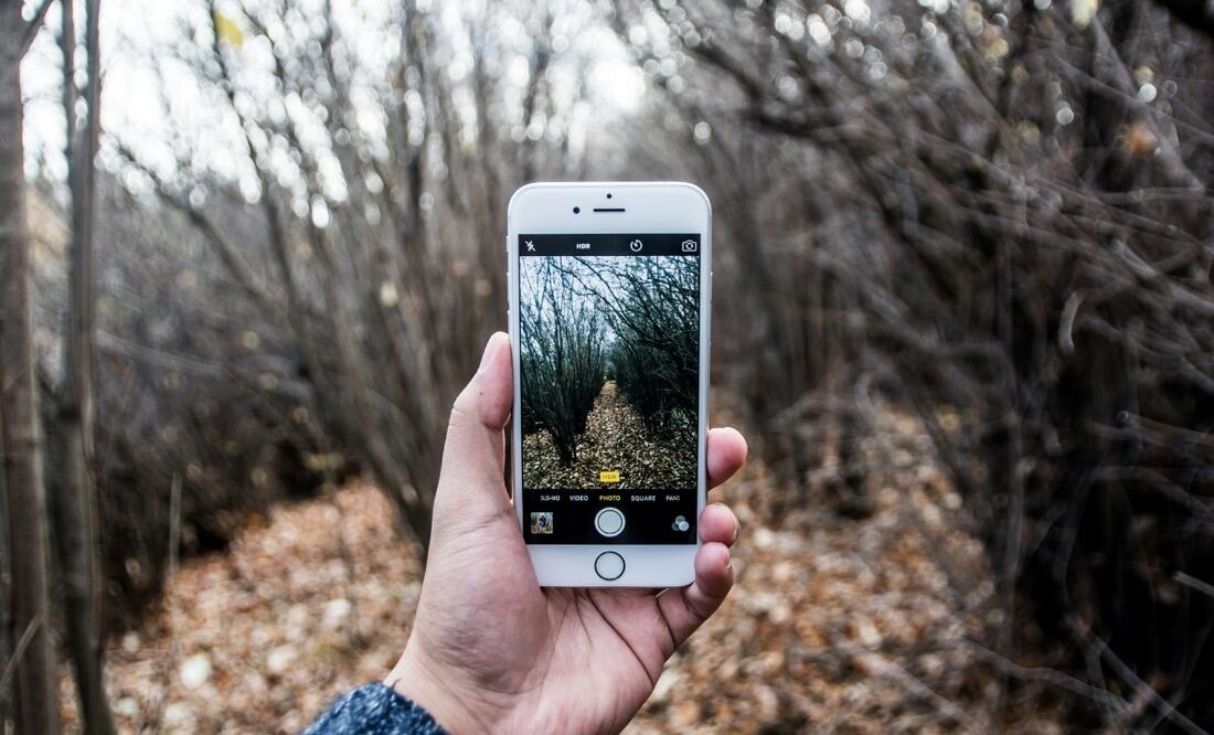 Fotografías con celular. Imagen: Unsplash