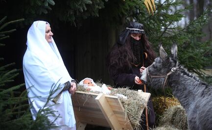 Zoológico de Cracovia busca acercar a los pequeños con los animales con mini nacimiento