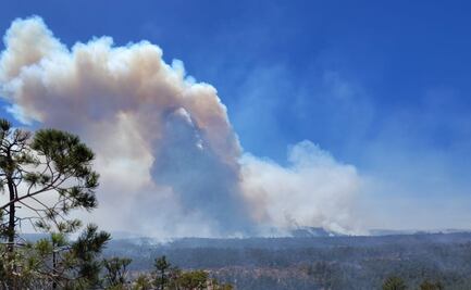Afectan a Chihuahua al menos 11 incendios forestales; se distribuyen en municipios serranos