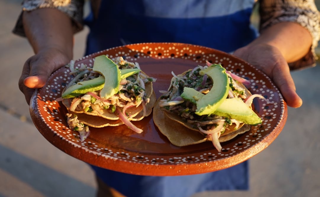 Fotos: Mariana Castillo