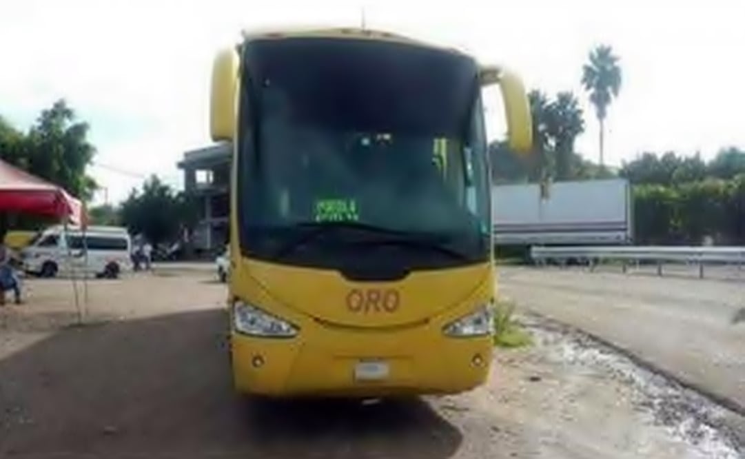 The authorities carried an operation in the Mixteca region. (Photo: Quadratín)