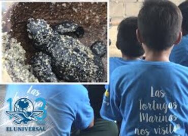 Niños oaxaqueños, la esperanza para salvar a tortugas marinas