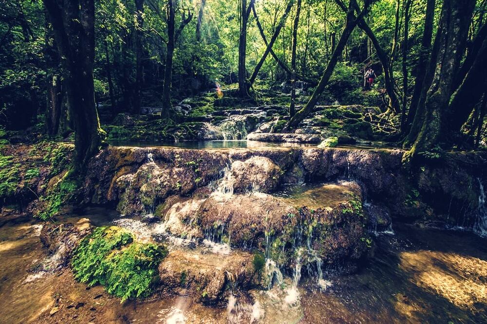 El Cielo es Patrimonio de la Humanidad desde 1985. (Foto: Cortesía Turismo de Tamaulipas)