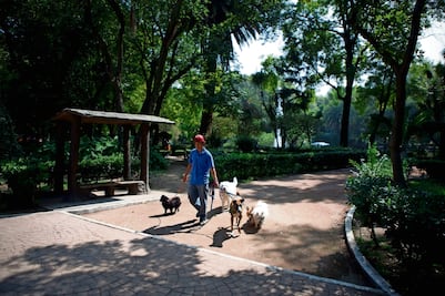 ¿Qué son y cómo surgieron los lugares Pet Friendly?