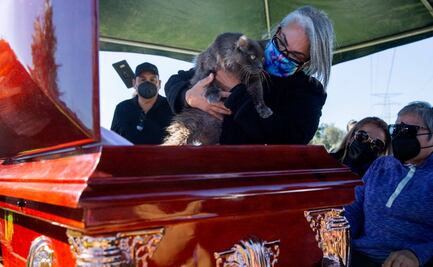 Las mascotas de Lourdes Maldonado fueron llevadas por sus familiares a despedirla en su sepelio