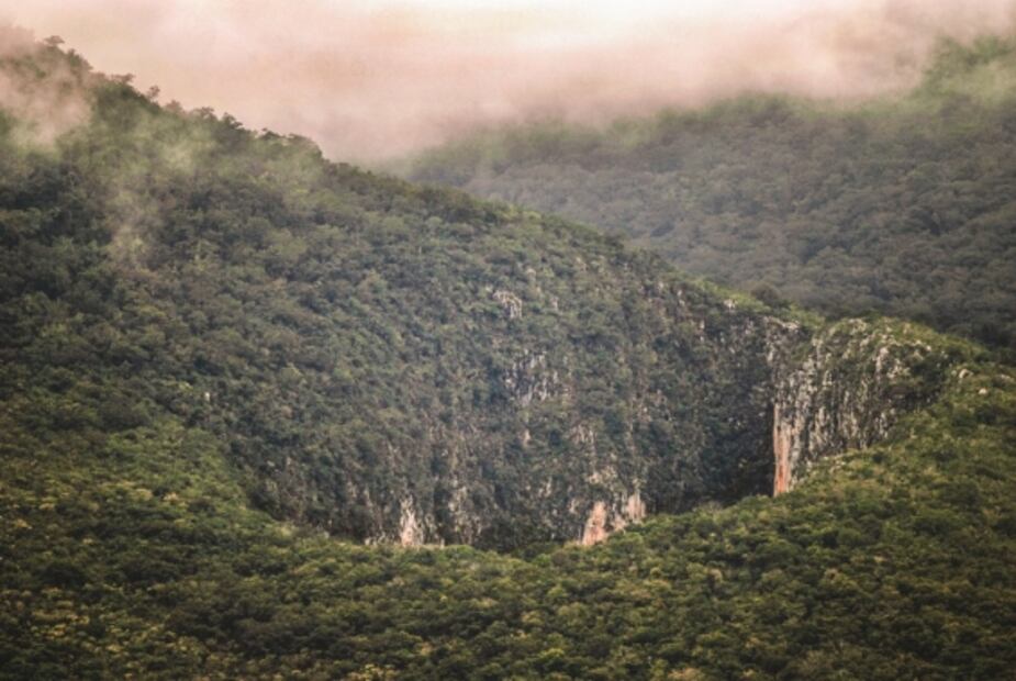 5 experiencias de viaje para regalar a papá cerca de la CDMX