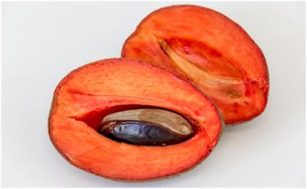 Disfruta de las frutas de temporada