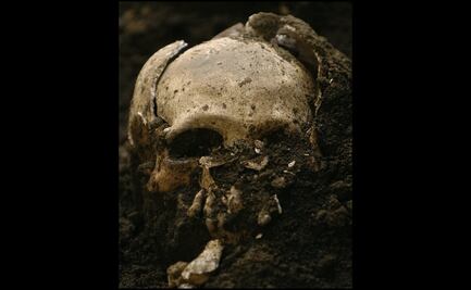 La peste bubónica y su relación con la peste negra