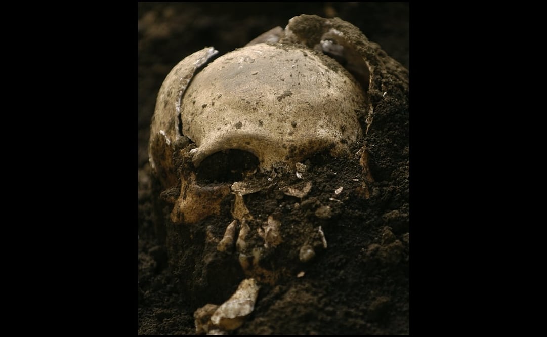 Foto: EFE/Ulises Rodríguez, archivo