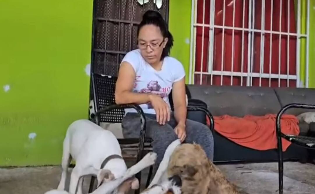 Activistas pidieron al gobierno federal proteger a la también boxeadora. Foto: Captura de video de la cuenta de FB de Aline Mayblee Gonzalez