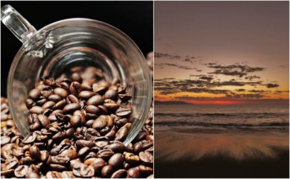 1era edición de Coffee Fest llega a Puerto Vallarta
