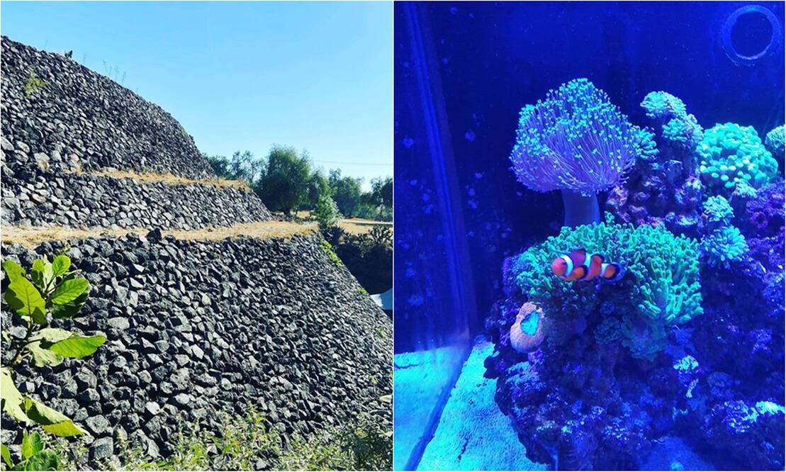 No creas que por ser puente, todo está cerrado y no hay nada qué hacer. / Fotos: Especial 