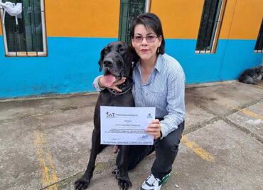 VIDEO: Ocho perritos se gradúan del Taller de Búsqueda y Rescate de Tlalpan