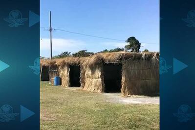 Padres construyen aulas de palma para que sus hijos vuelvan a clases en Oaxaca