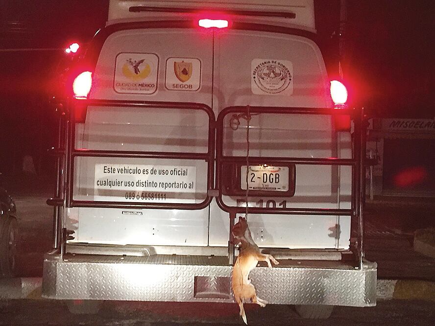 El video que circula en las redes sociales fue captado el miércoles pasado cerca de la estación Tenayuca del Metrobús, se explica