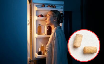 Harvard revela el truco para ahorrar dinero en la factura de luz usando un corcho en la nevera