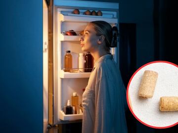 Harvard revela el truco para ahorrar dinero en la factura de luz usando un corcho en la nevera