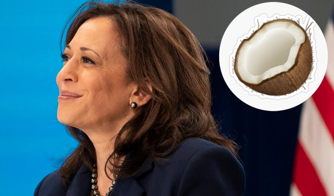 Biden tiró la toalla y respaldó a Harris para que defienda los colores del Partido Demócrata, que aún debe nominarla oficialmente, tras esto el símbolo de la fruta adquirió un nuevo sentido. Foto: AP/Especial