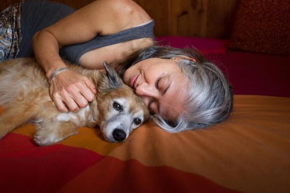 Eutanasia. Fuente: Freepik.