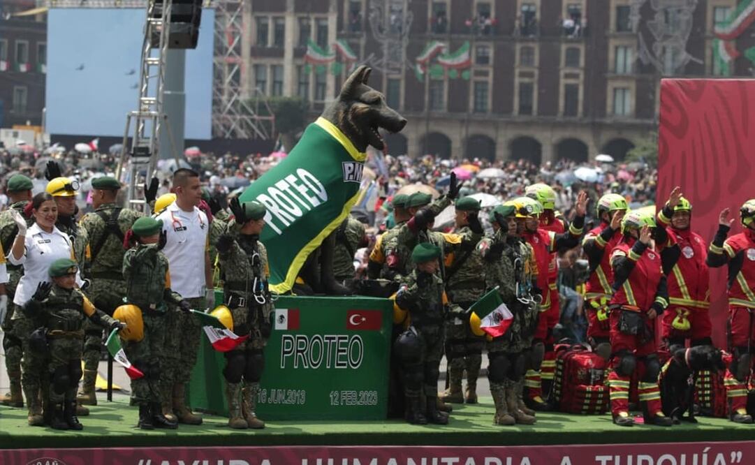 En el desfile también hizo presencia “Arkadas”, un cachorro de ocho meses donado por Turquía como muestra de agradecimiento a México. Foto: Carlos Odin. EL UNIVERSAL