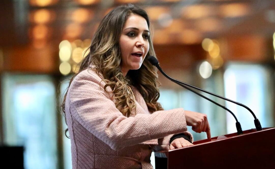 Anilú Ingram, diputada del PRI se defiende sobre acusaciones de corrupción en estancias infantiles. Foto: Ariel Ojeda/EL UNIVERSAL 