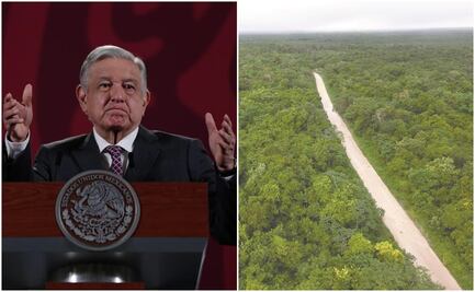 Tren Maya también tendrá vigilancia aérea con helicópteros, dice AMLO 