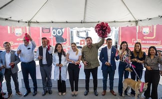 Tijuana inicia programa gratuito de esterilización animal; proyectan 6 mil procedimientos al año