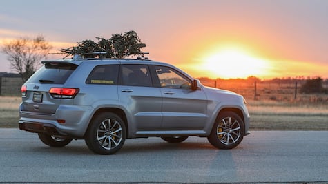 El árbol de Navidad más rápido del mundo