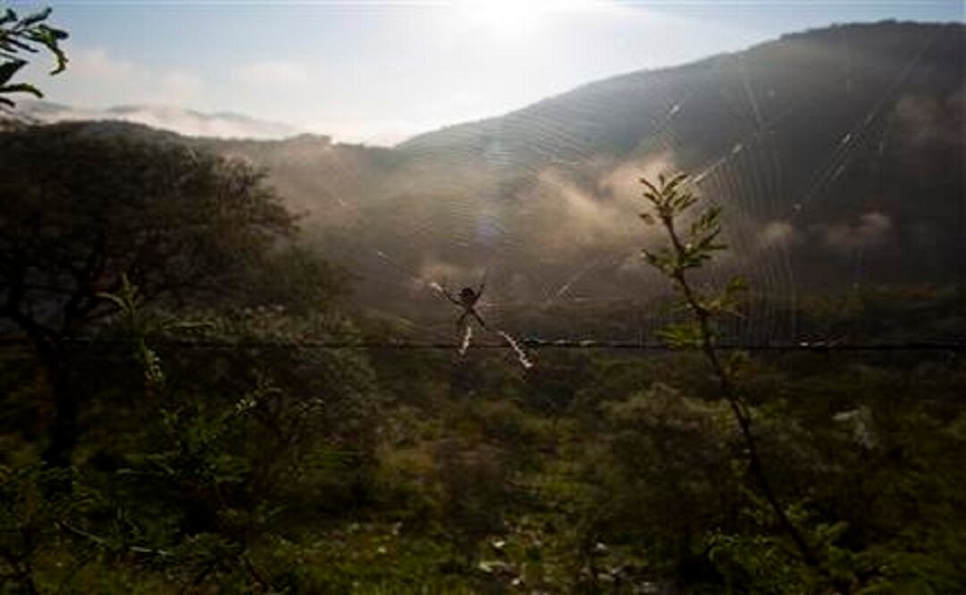 In 2013, it was common knowledge that police in Guerrero state's Tierra Caliente were errand runners for gangsters, but it was not widely acknowledged that local and state police were disappearing people, too. (Photo: AP)