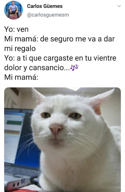 Meme respecto al Día de las Madres. Foto: Twitter