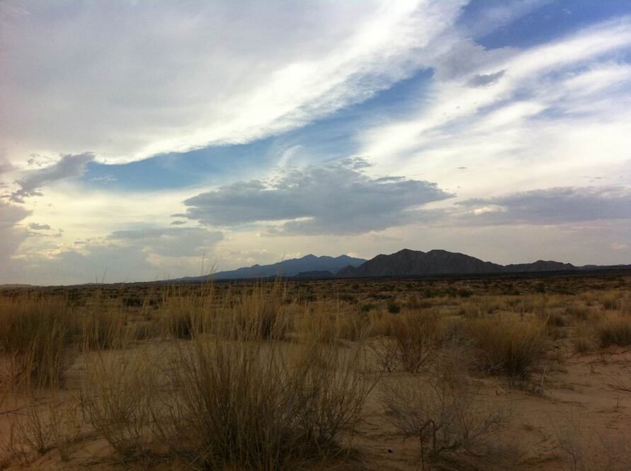Tras ser herido, el joven fue semienterrado en una zona desértica de la carretera Puerto Peñasco-Sonoyta (ARCHIVO EL UNIVERSAL)
