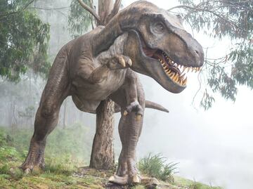 Lugares para ver dinosaurios en CDMX