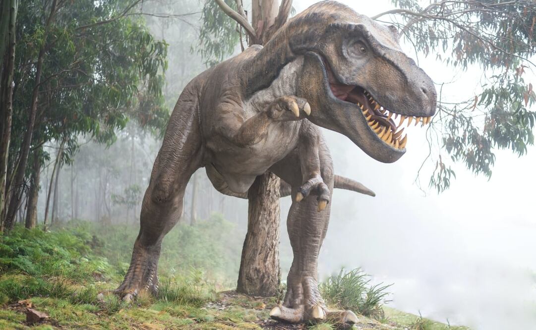 En CDMX habrá una experiencia inmersiva con dinosaurios. Foto: Unsplash. Fausto García