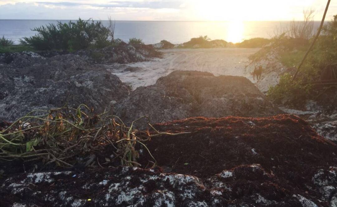 Foto: Adriana Varillas / EL UNIVERSAL