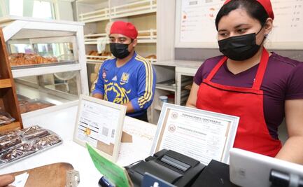 Quintana Roo, líder en la generación de fuentes de trabajo productivas: Carlos Joaquín González