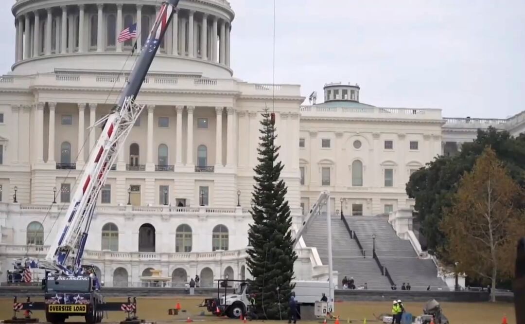 En su trasladado hacia la capital de Estados Unidos, el gran abeto hizo algunas escalas en algunas comunidades. Foto: Captura de pantalla/ Video EFE