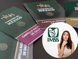 ¿Qué hacer si se me pierde mi carnet del IMSS? Así puedes reponerlo