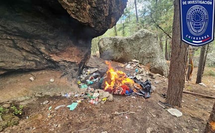 Desmantelan campamento presuntamente utilizado por el crimen organizado en Chihuahua; no hay detenidos