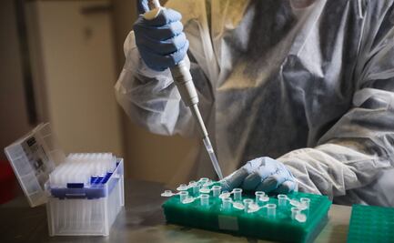 La crisis de Covid-19 multiplica el acceso a la ciencia