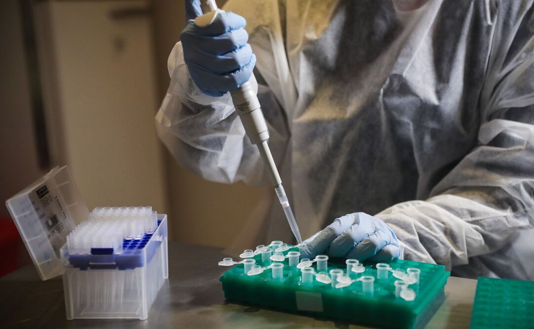 Foto: EFE/Federico Anfitti, archivo