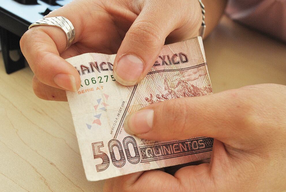 El bajo ingreso familiar provoca cautela en el modo de gastar, por lo cual reduce considerablemente el consumo en el mercado. (ARCHIVO. EL UNIVERSAL)