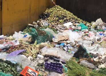 Mexico wastes more than 20.4 million tons of food each year