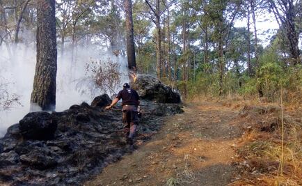 Reportan dos incendios forestales activos en Michoacán