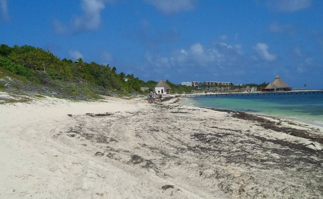 Foto: Adriana Varillas / EL UNIVERSAL