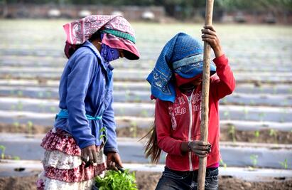 Proyecto de presupuesto 2024 “olvida a los campesinos más pobres”: Rubén Moreira
