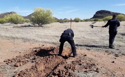 Destruyen pista aérea clandestina en Sonora