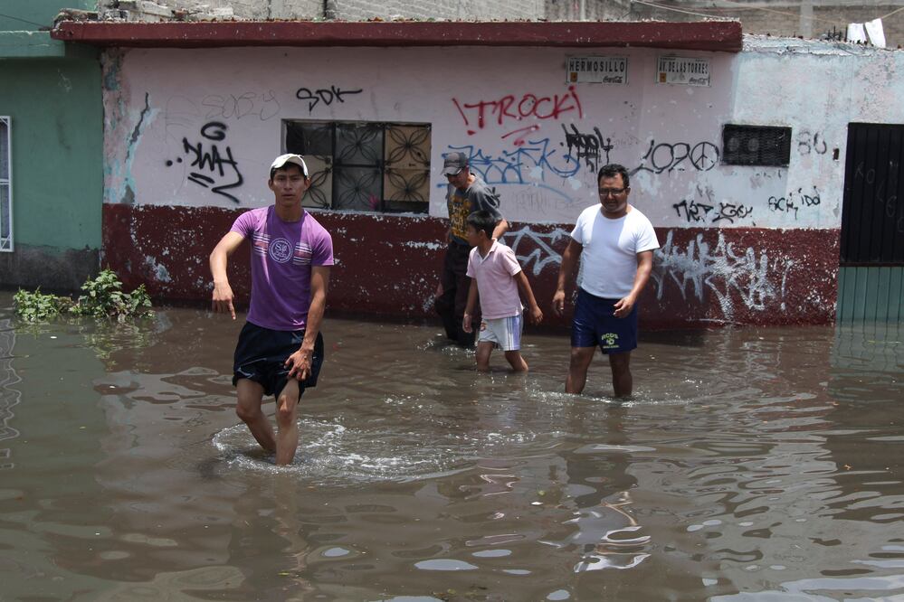 Foto: Archivo / EL UNIVERSAL