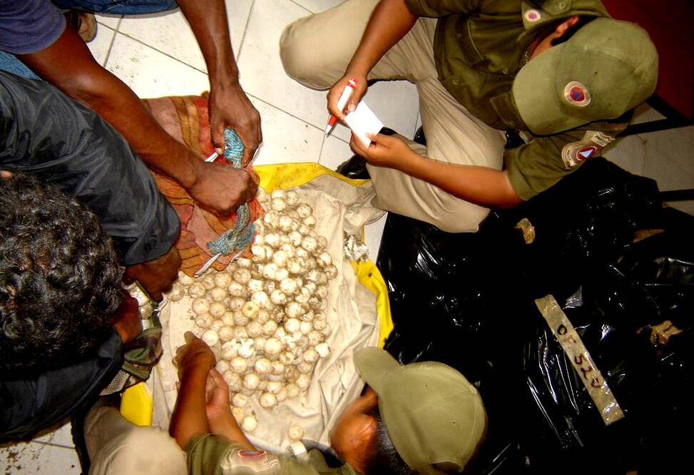 FOTO: Archivo/EL UNIVERSAL