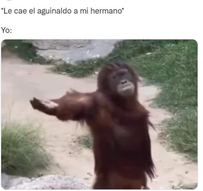 Bad Bunny en el Zócalo, la llegada del aguinaldo y la final del Mundial Qatar 2022, en los memes de la semana